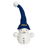 Theodore the Snowman